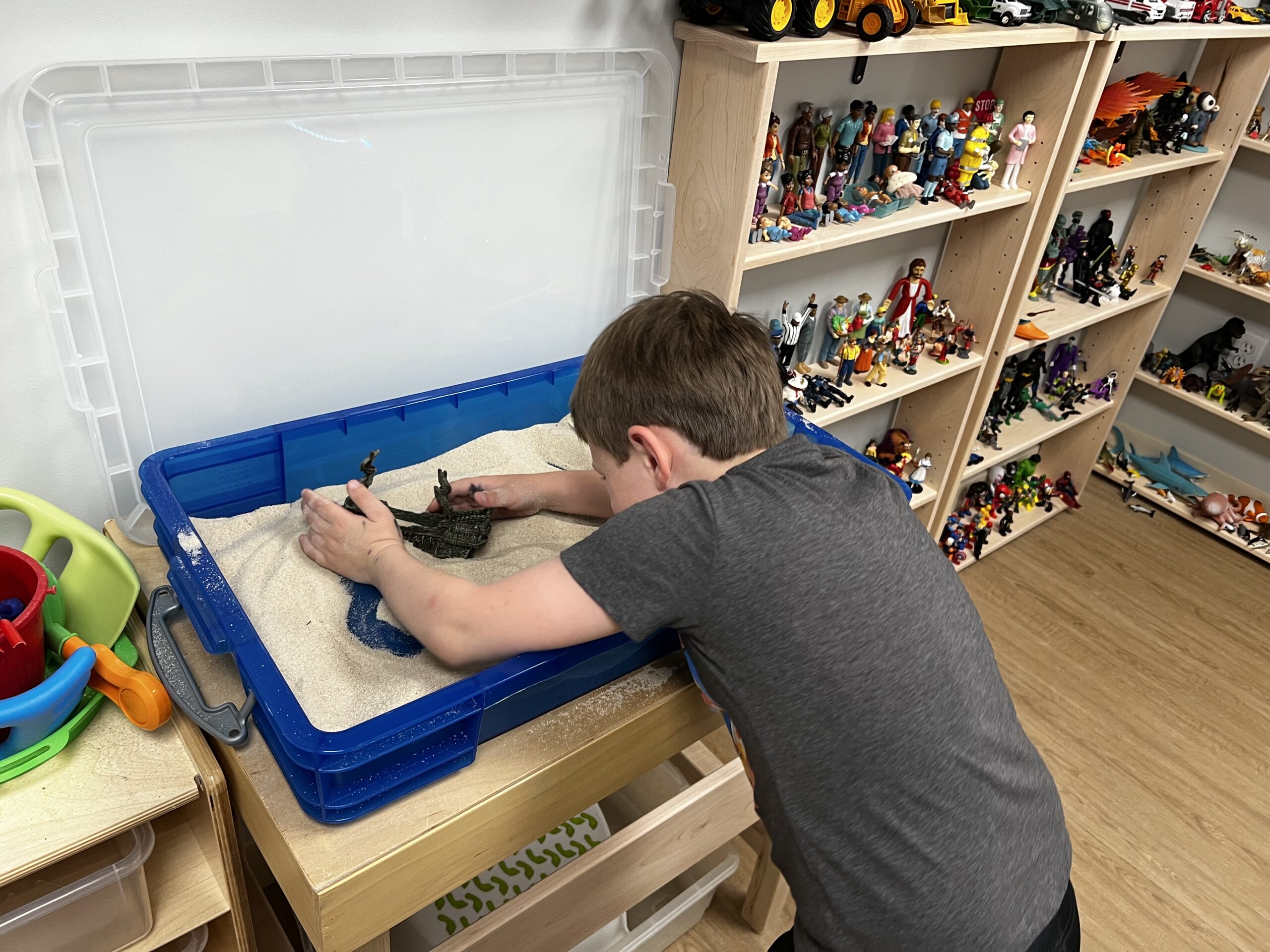 Sand Tray Therapy