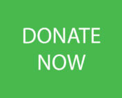 donate now